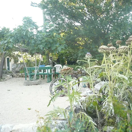 House Dragica * Cres
